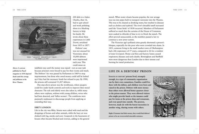 The Royal Victorians: King Edward Vii, His Family and