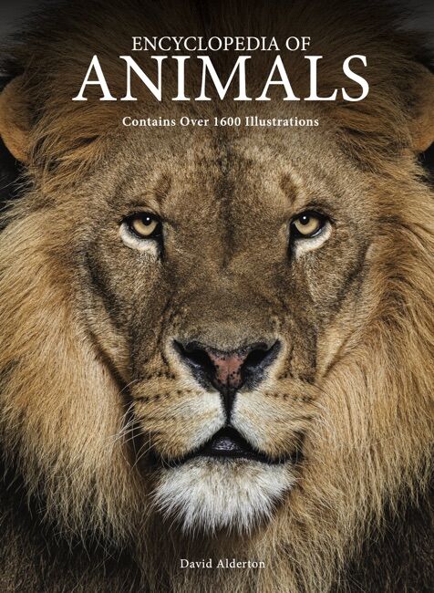 Animals [Illustrated Encyclopedia] by David Alderton - Amber Books