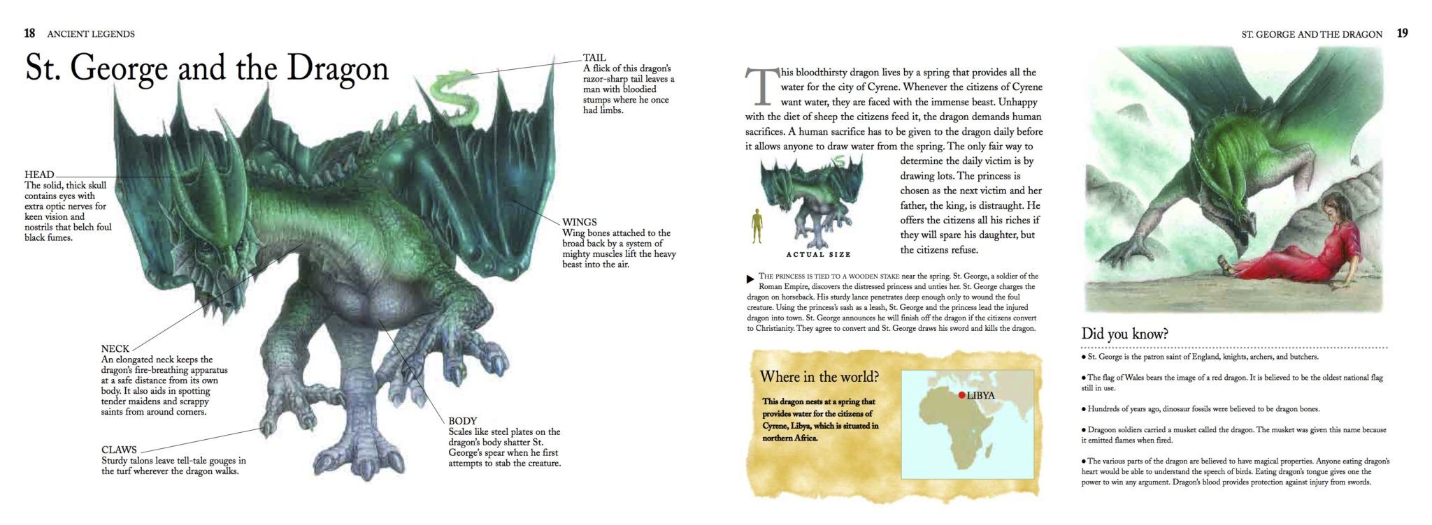 Dragons [48pp] [Illustrated guide] by G McCall - Amber Books