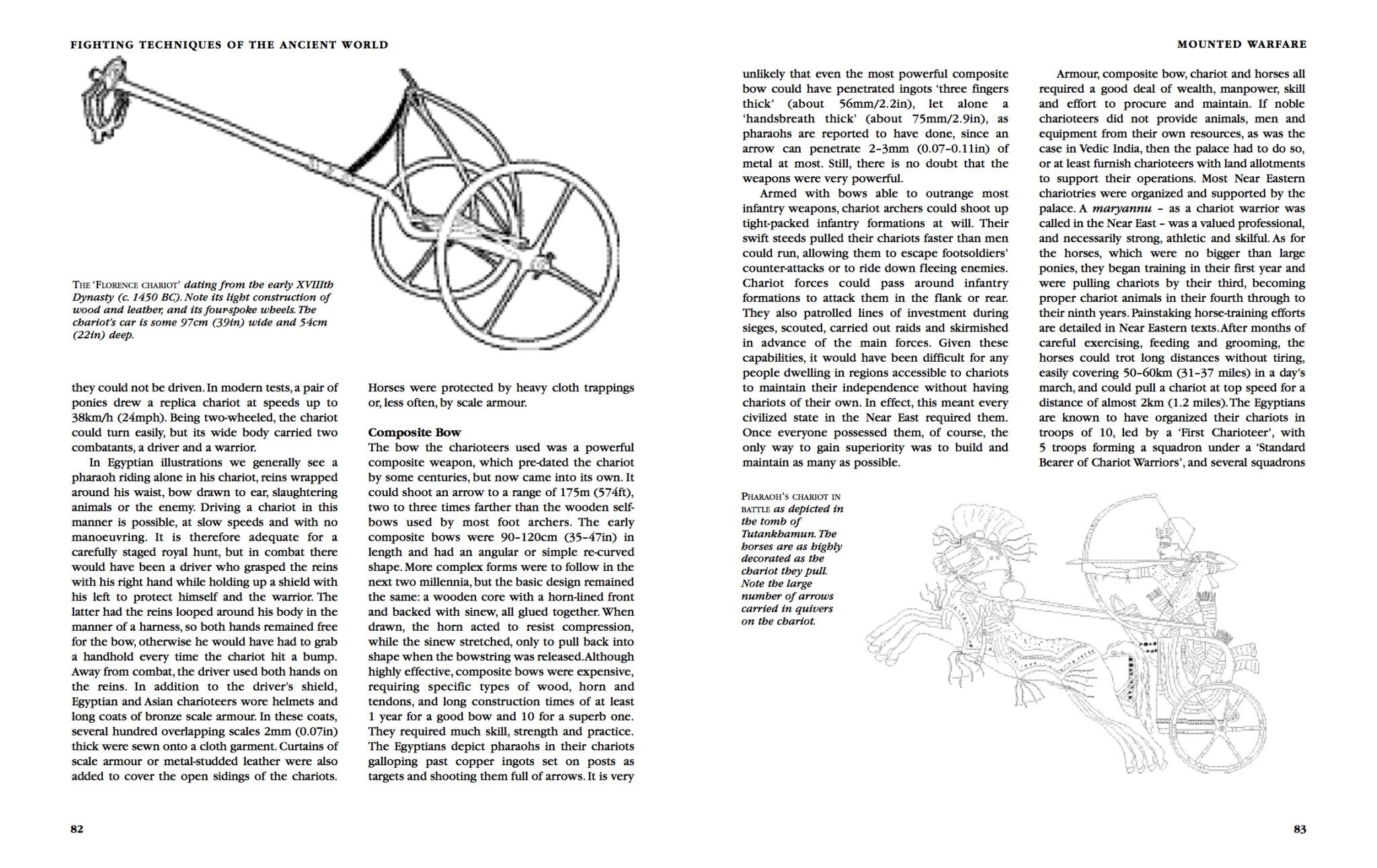 Fighting Techniques of the Ancient World Amber Books