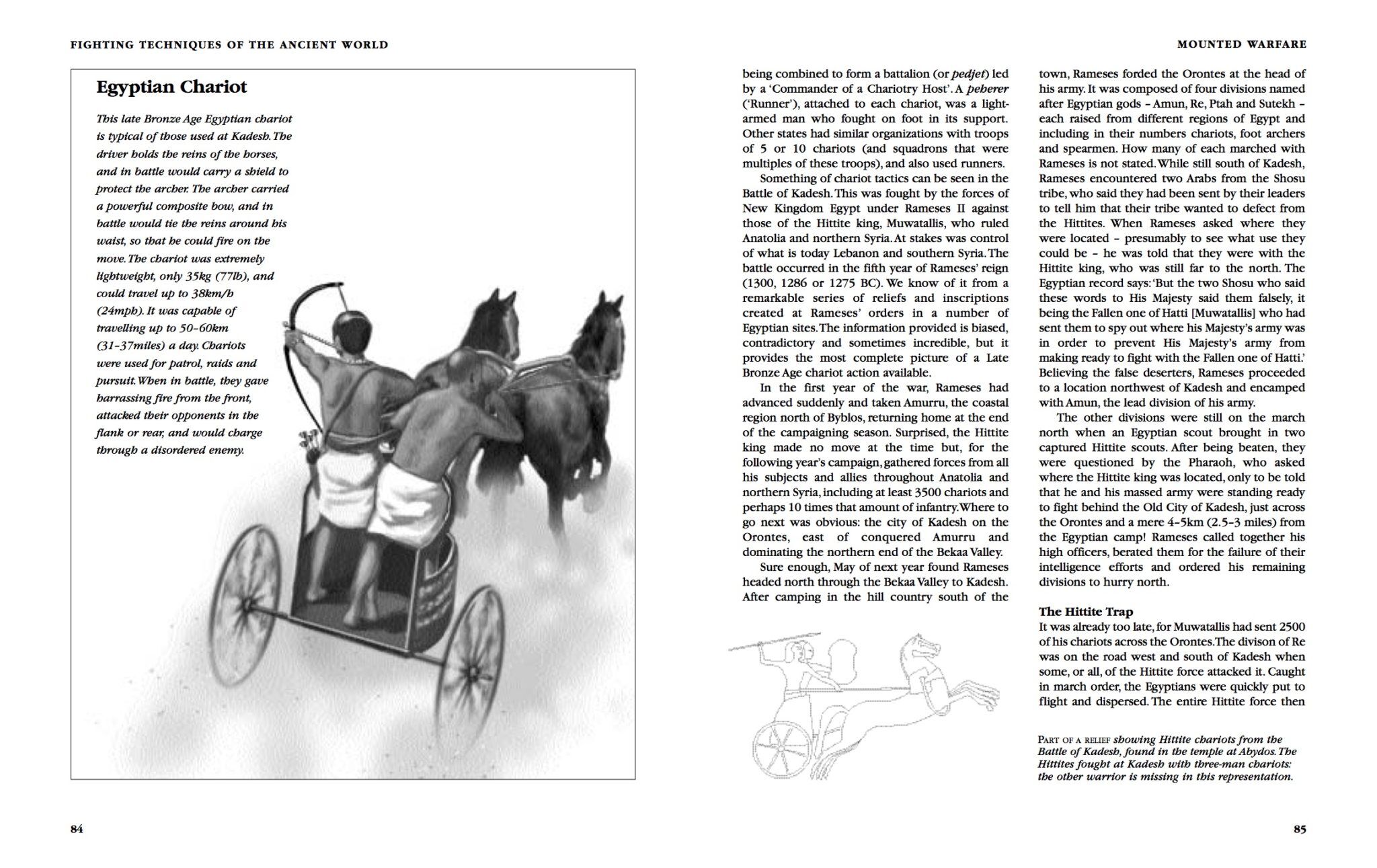 Fighting Techniques of the Ancient World Amber Books