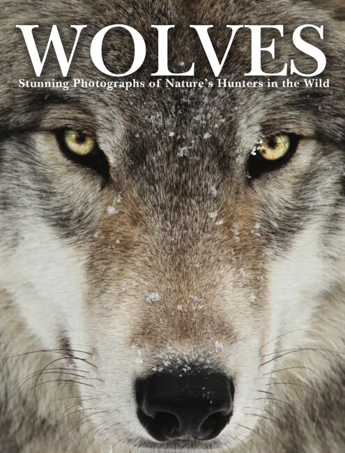 Wolves - Amber Books
