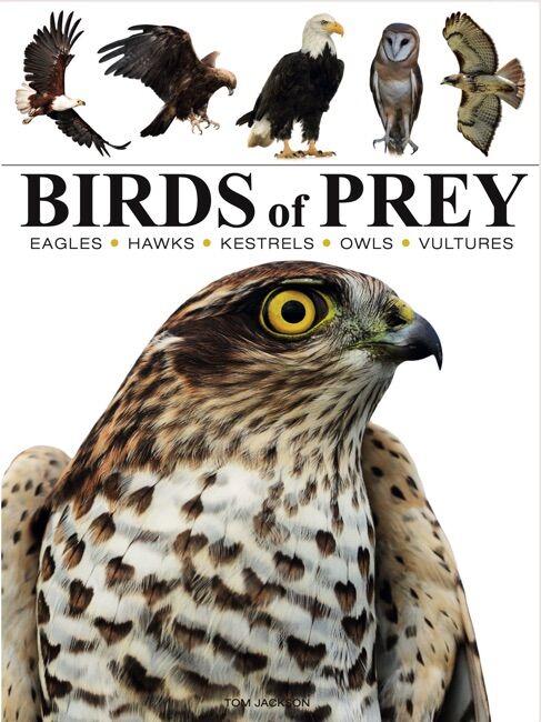 2点set☆Bird Of Prey☆Desert Dazzler 2点set☆Bird Of Prey☆Desert Dazzler（Birds of Prey [mini