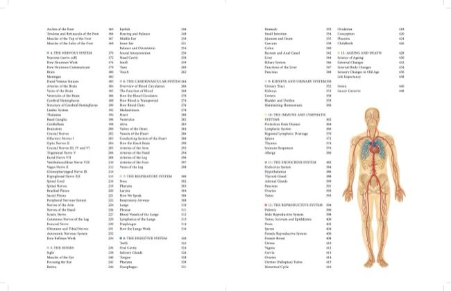 Human Anatomy [Illustrated Guide] - Amber Books